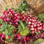 Go to the Market