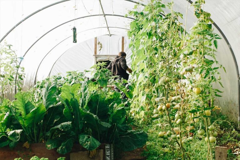 Chaos gardening