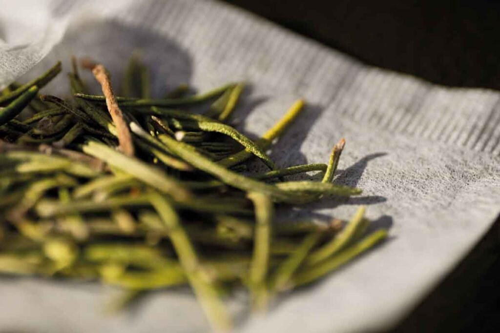 Healing potential of medicinal plants