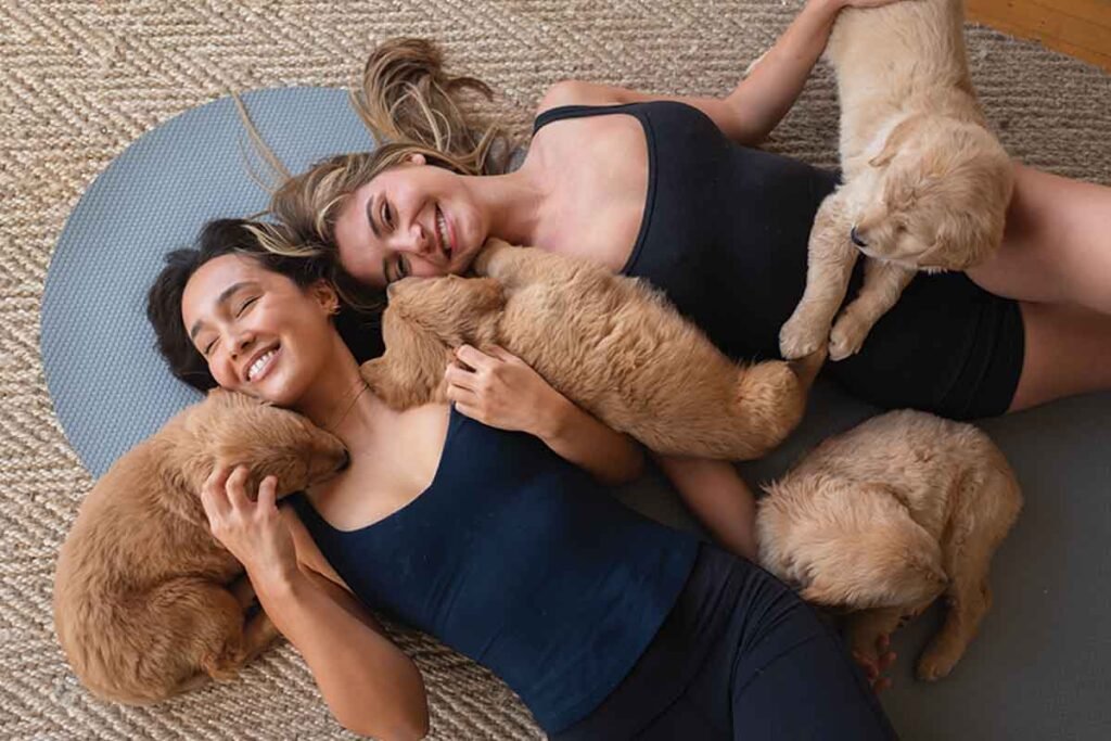 Puppy sphere