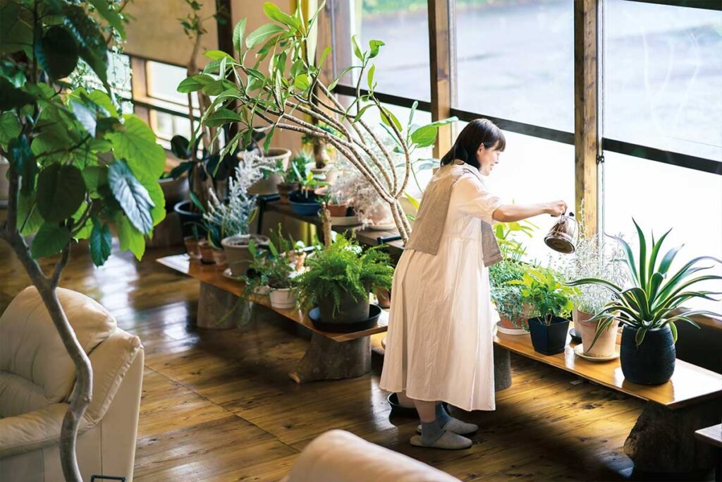 Smarty plants