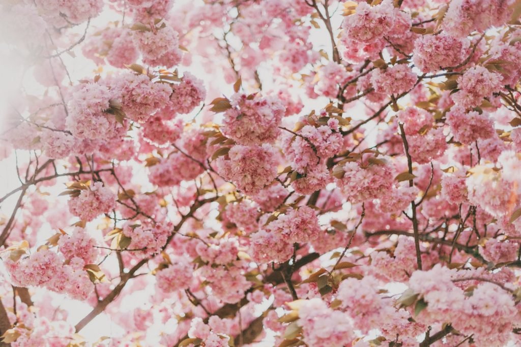 Cranking The Heat On Seasonal Allergies